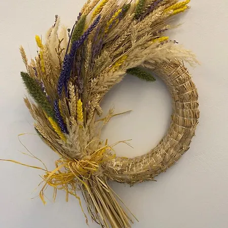 Apartment Serendipity Living Katsounion