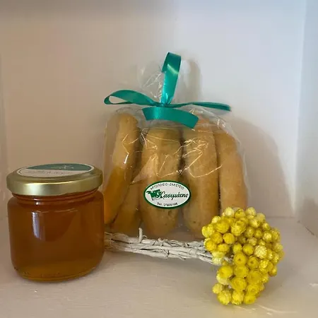 Apartmán Serendipity Living *