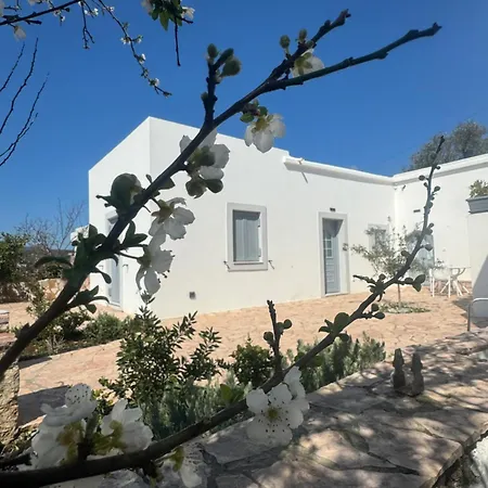 Serendipity Living Lägenhet