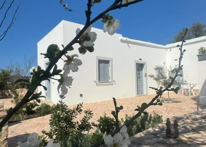 Serendipity Living شقة